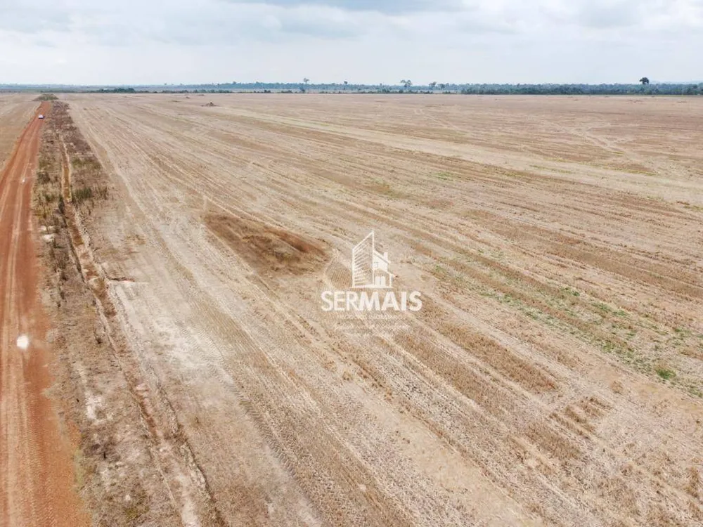 Fazenda, 290 hectares - Foto 9