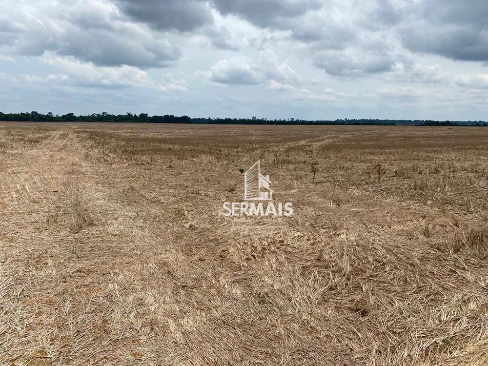 Fazenda, 290 hectares - Foto 4