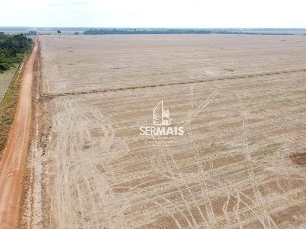 Fazenda, 290 hectares - Foto 7