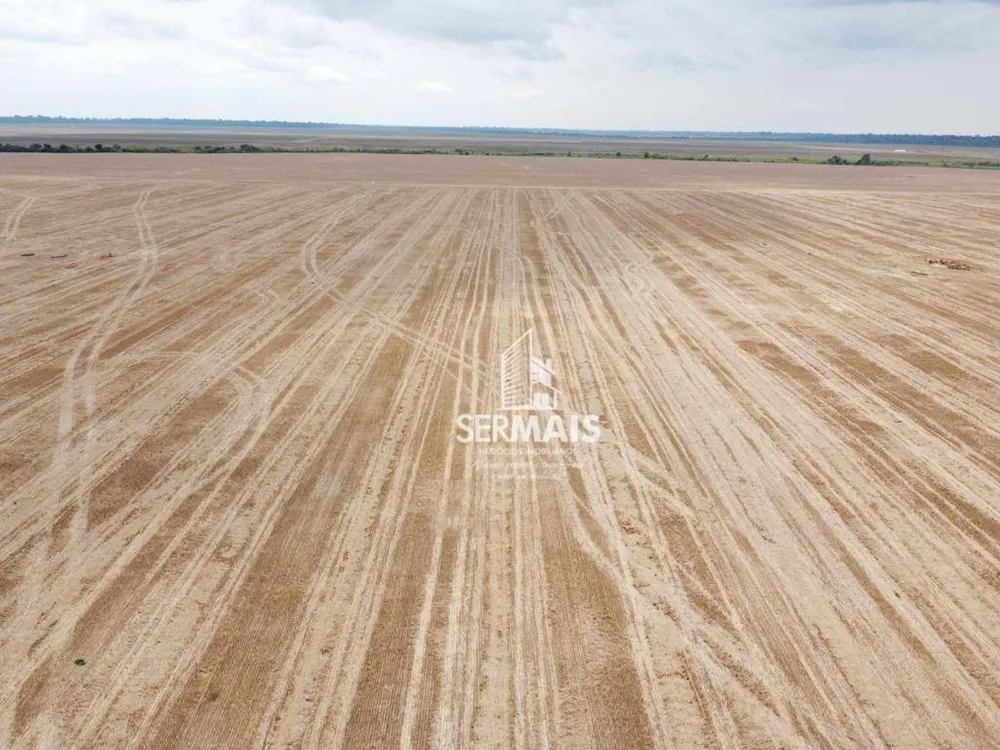 Fazenda, 290 hectares - Foto 2