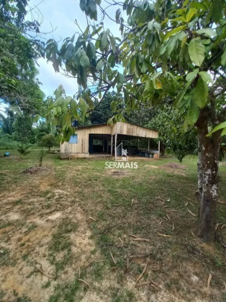 Chácara, 2 quartos, 3 hectares - Foto 8