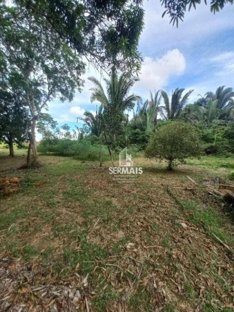 Chácara, 2 quartos, 3 hectares - Foto 6
