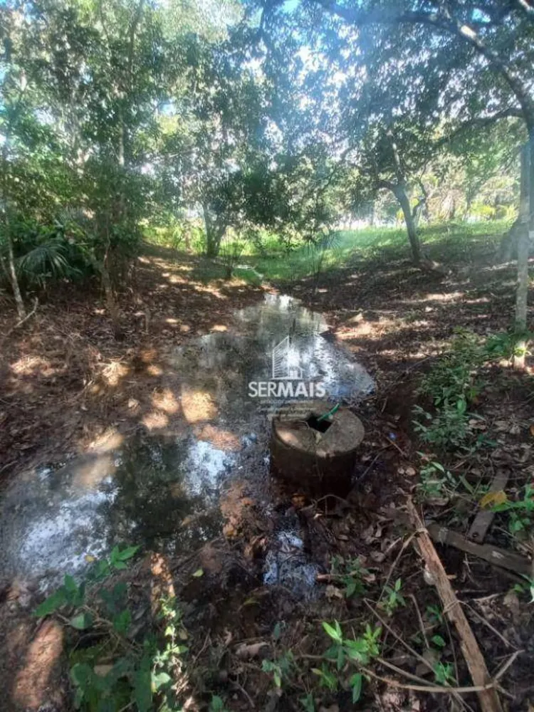 Chácara, 2 quartos, 3 hectares - Foto 14