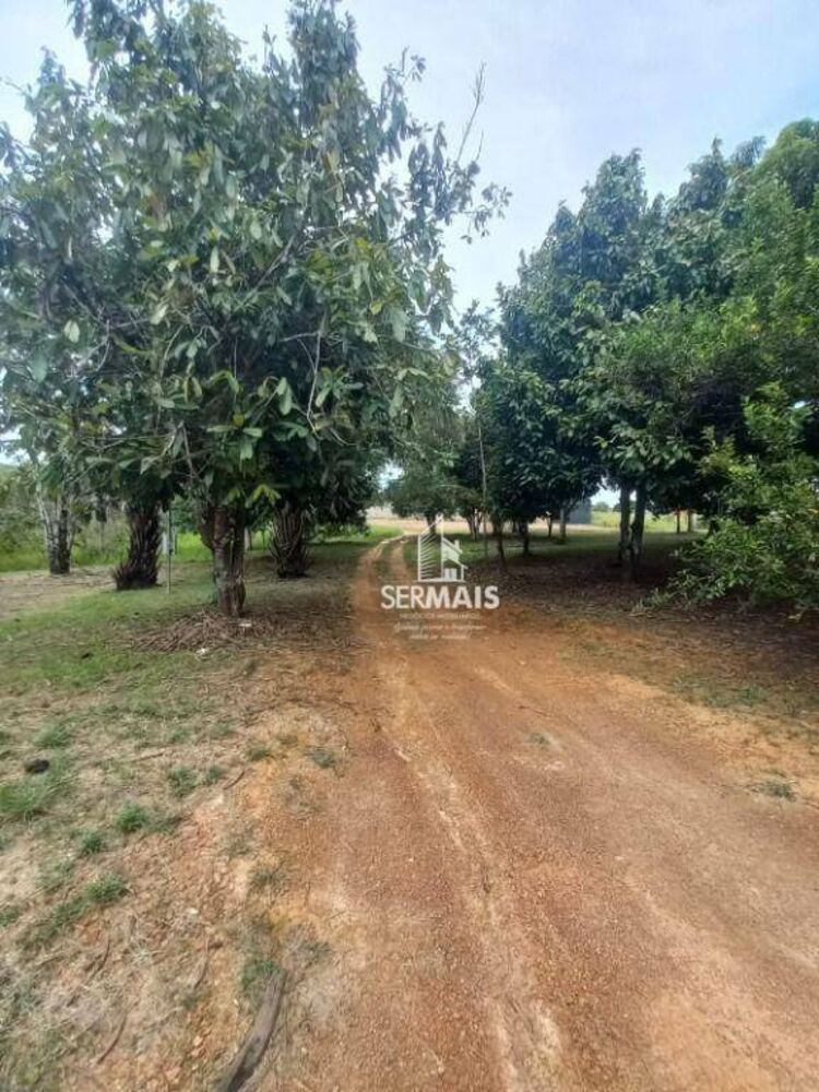 Chácara, 2 quartos, 3 hectares - Foto 7