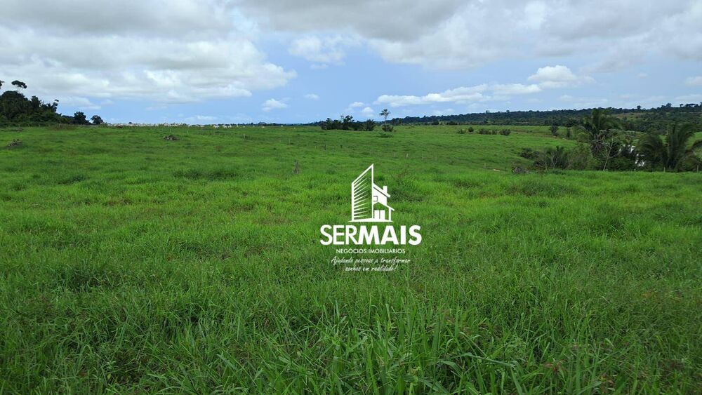 Fazenda, 218 hectares - Foto 1