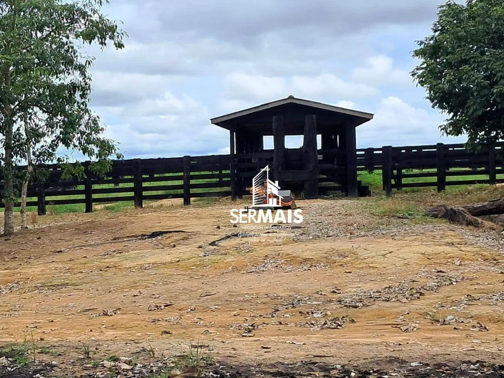 Fazenda, 218 hectares - Foto 6