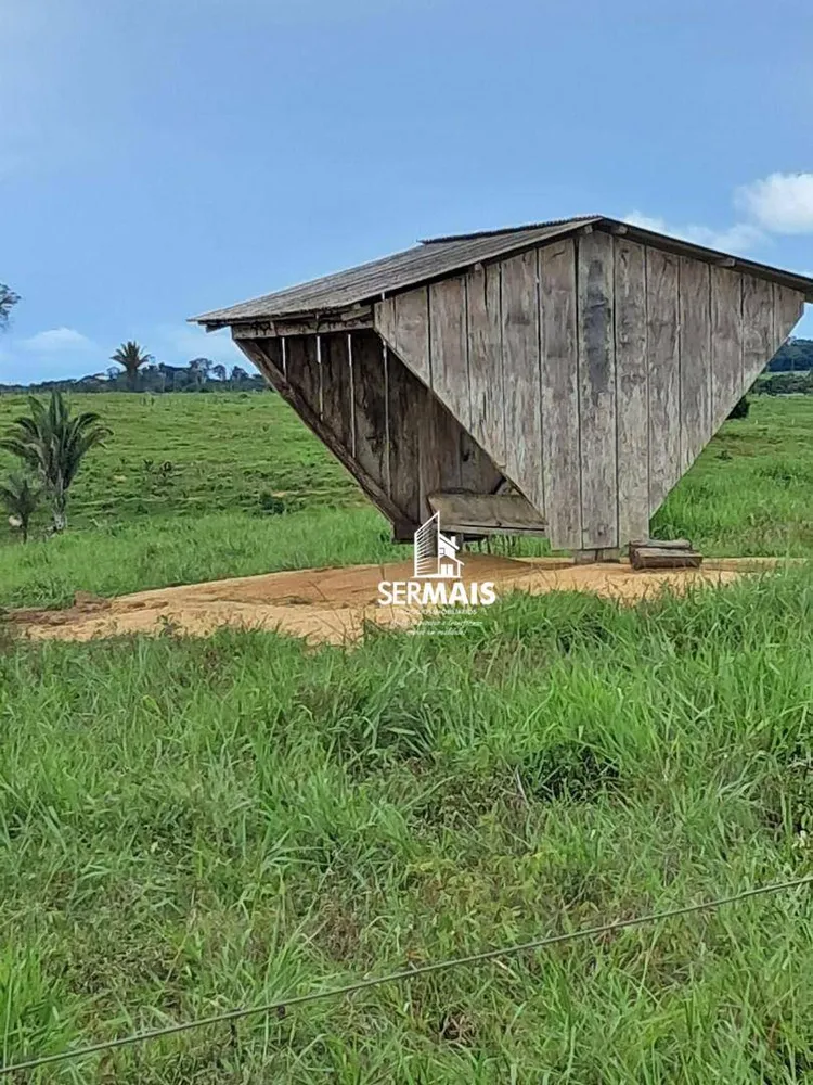 Fazenda, 218 hectares - Foto 8