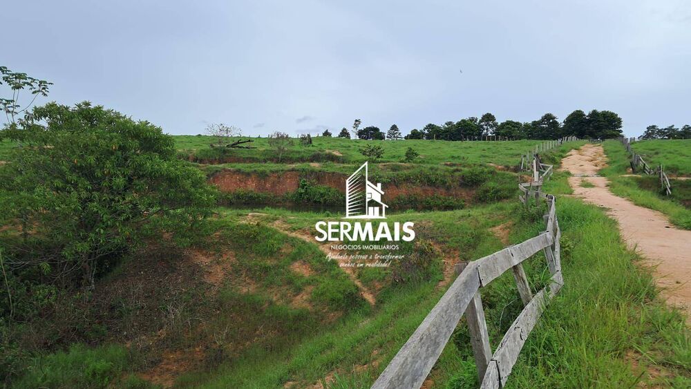 Fazenda, 218 hectares - Foto 3