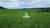Fazenda, 218 hectares - Foto 1