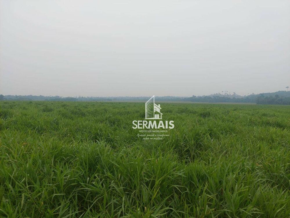 Fazenda, 254 hectares - Foto 1