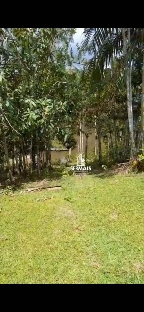 Fazenda, 40 hectares - Foto 4