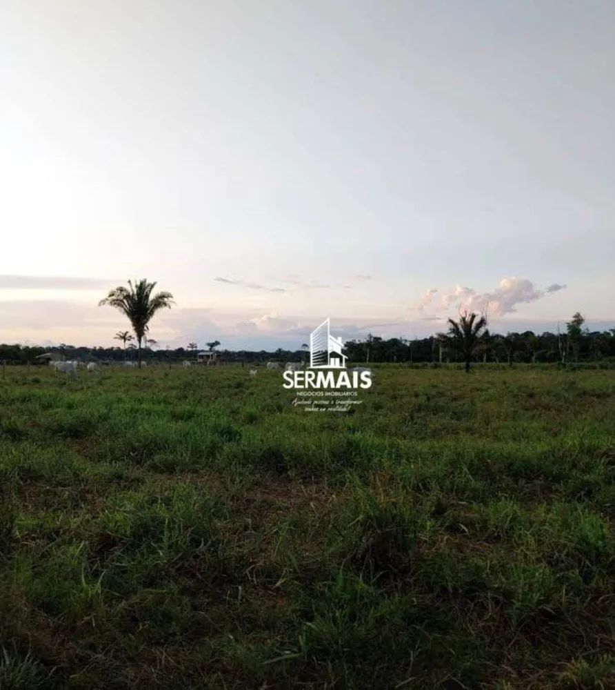 Fazenda, 40 hectares - Foto 1