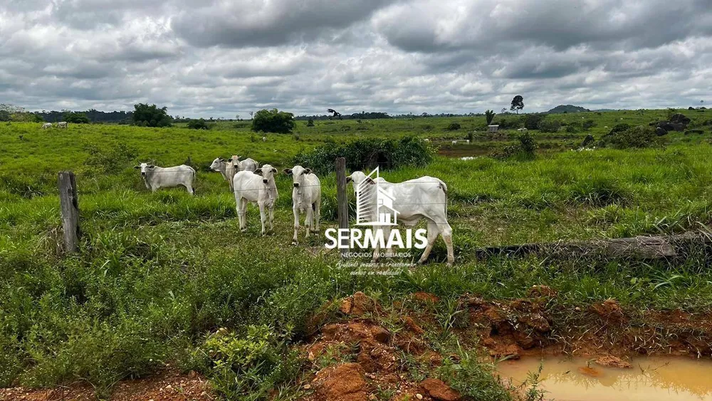 Fazenda, 2300 hectares - Foto 14