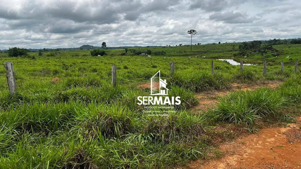 Fazenda, 2300 hectares - Foto 12