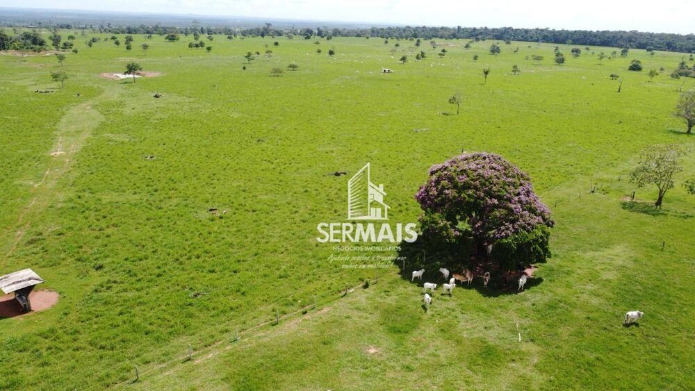 Fazenda, 484 m² - Foto 10
