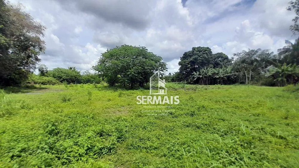 Chácara, 1 hectares - Foto 10