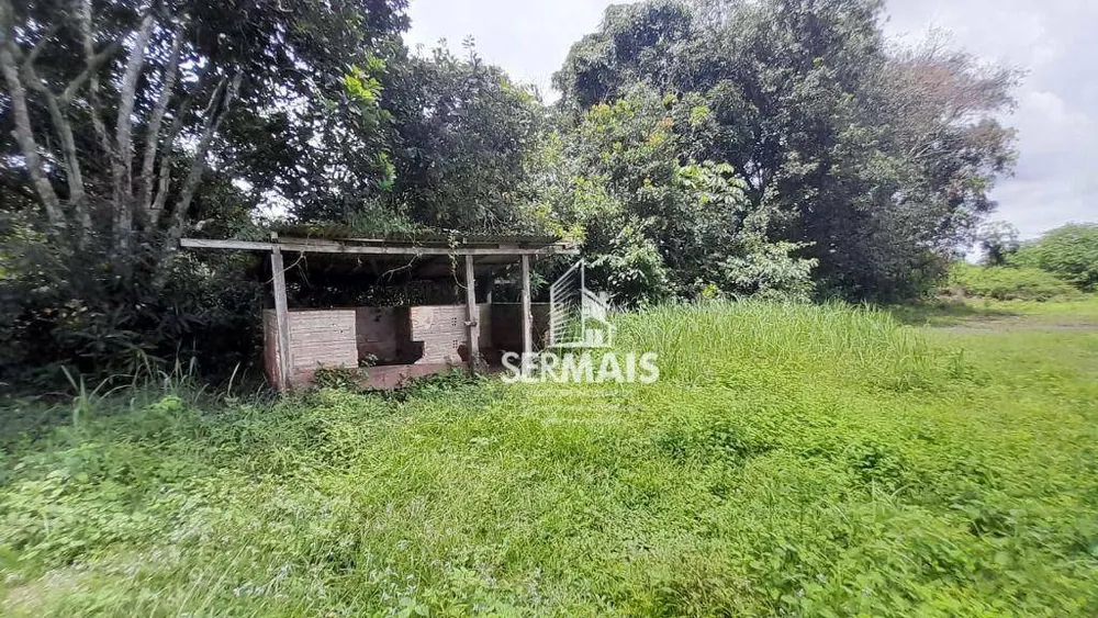 Chácara, 1 hectares - Foto 1