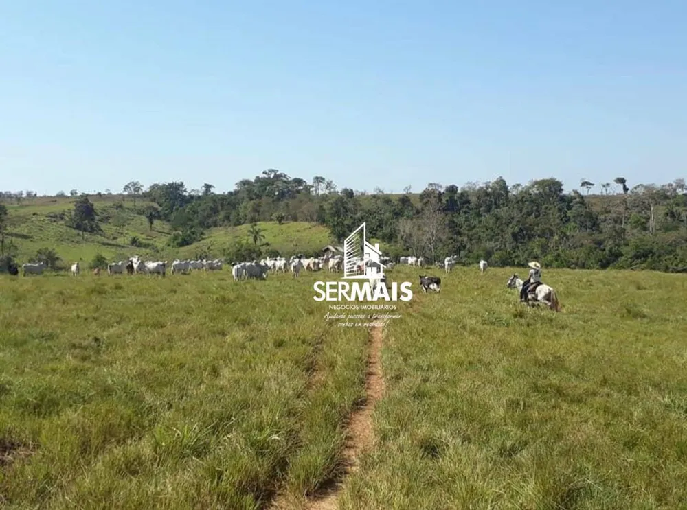 Fazenda, 479 hectares - Foto 8