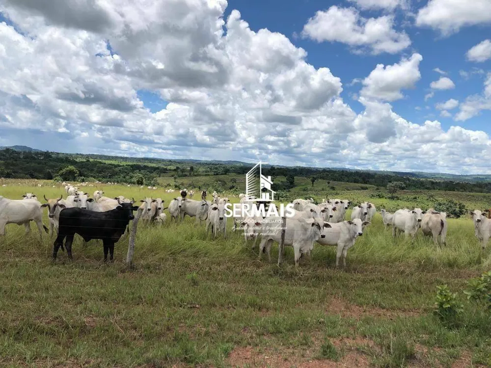 Fazenda, 479 hectares - Foto 10