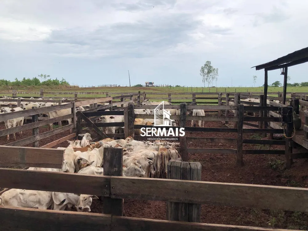 Fazenda, 479 hectares - Foto 9