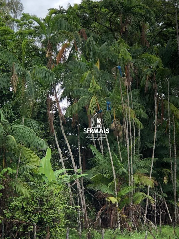 Fazenda, 479 hectares - Foto 4
