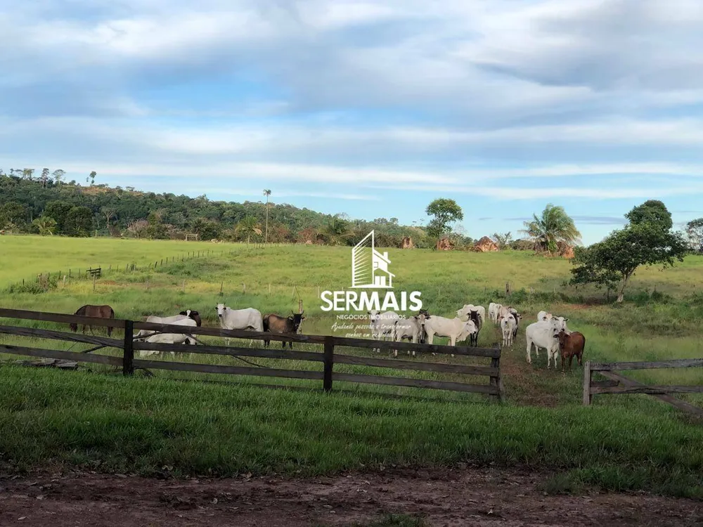 Fazenda, 479 hectares - Foto 11