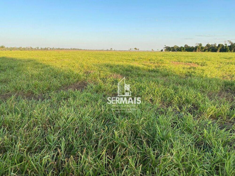 Fazenda, 632 hectares - Foto 6