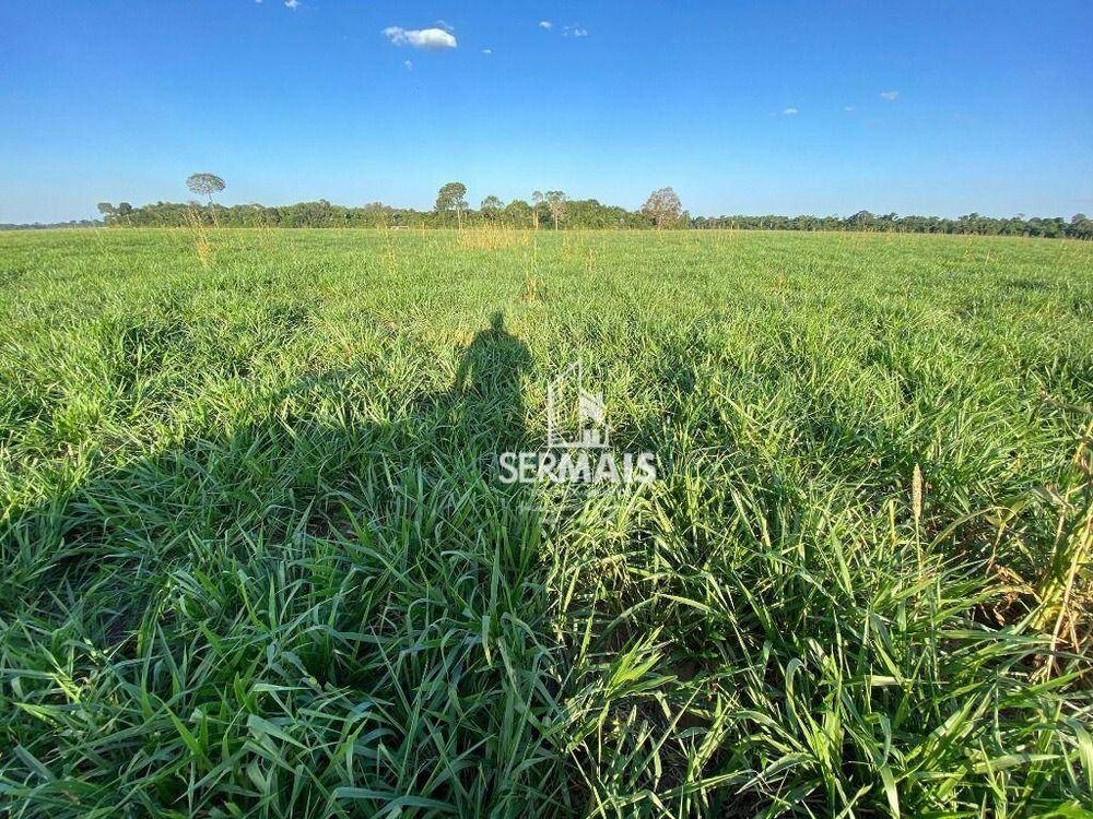 Fazenda, 632 hectares - Foto 3