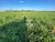Fazenda, 632 hectares - Foto 3