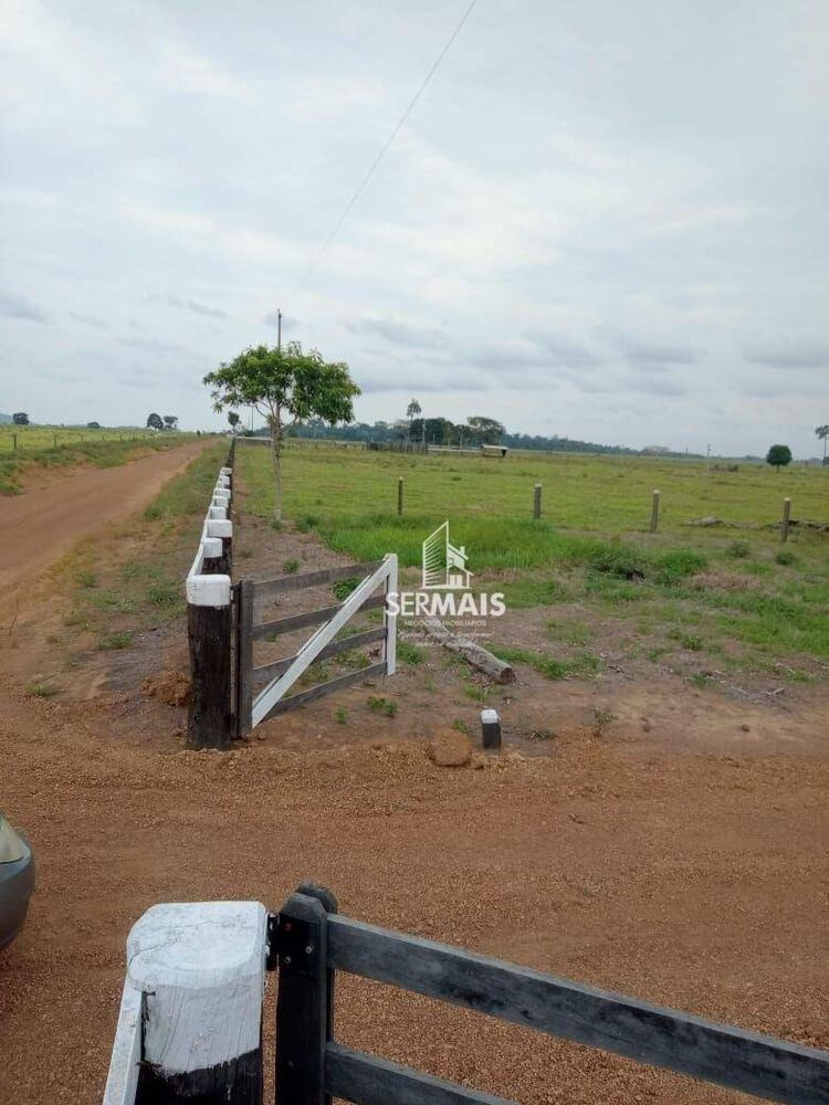 Fazenda, 310 hectares - Foto 7