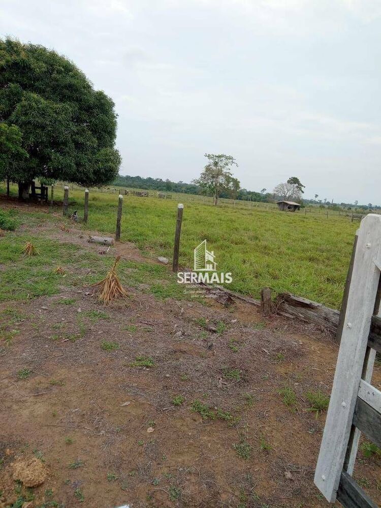 Fazenda, 310 hectares - Foto 8