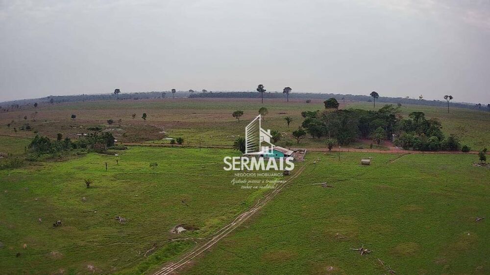 Fazenda, 310 hectares - Foto 3