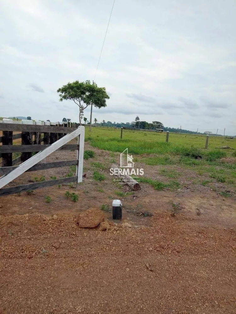 Fazenda, 310 hectares - Foto 6