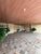 Casa, 4 quartos, 250 m² - Foto 2