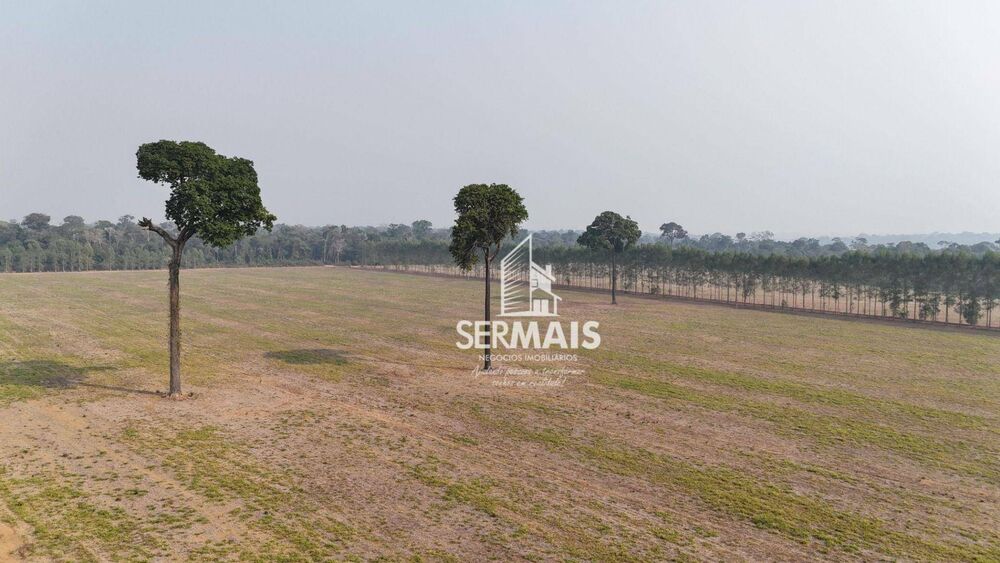 Fazenda, 1600 hectares - Foto 2