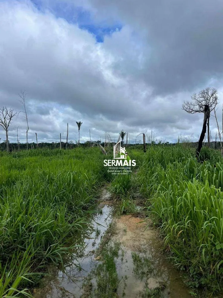Fazenda, 1906 hectares - Foto 4