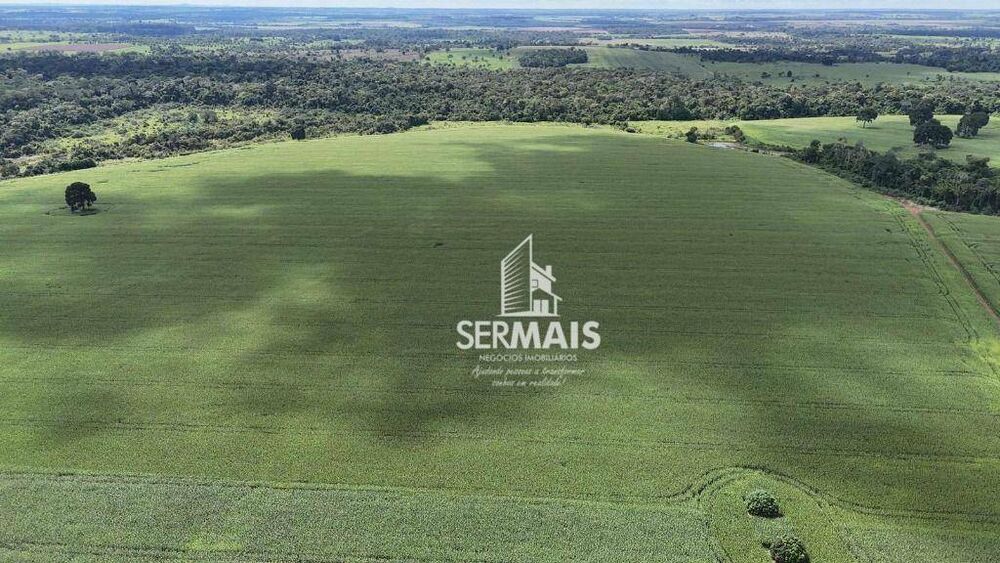Fazenda, 247 hectares - Foto 6