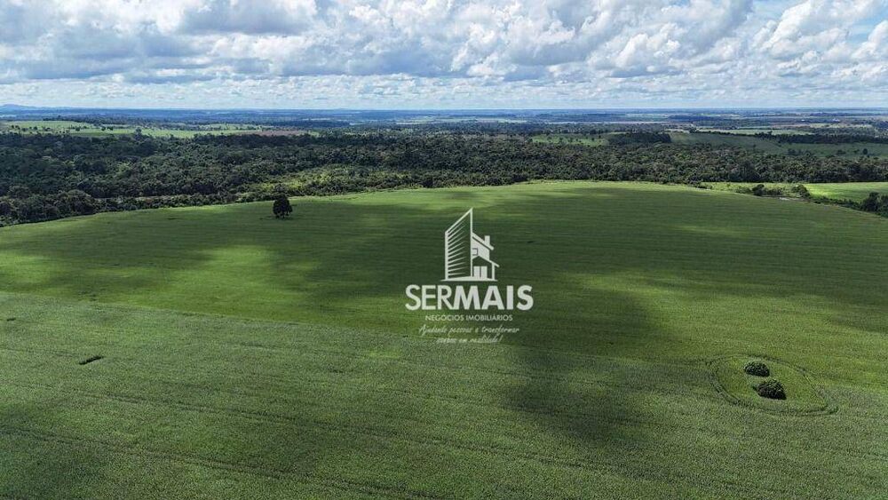 Fazenda, 247 hectares - Foto 4