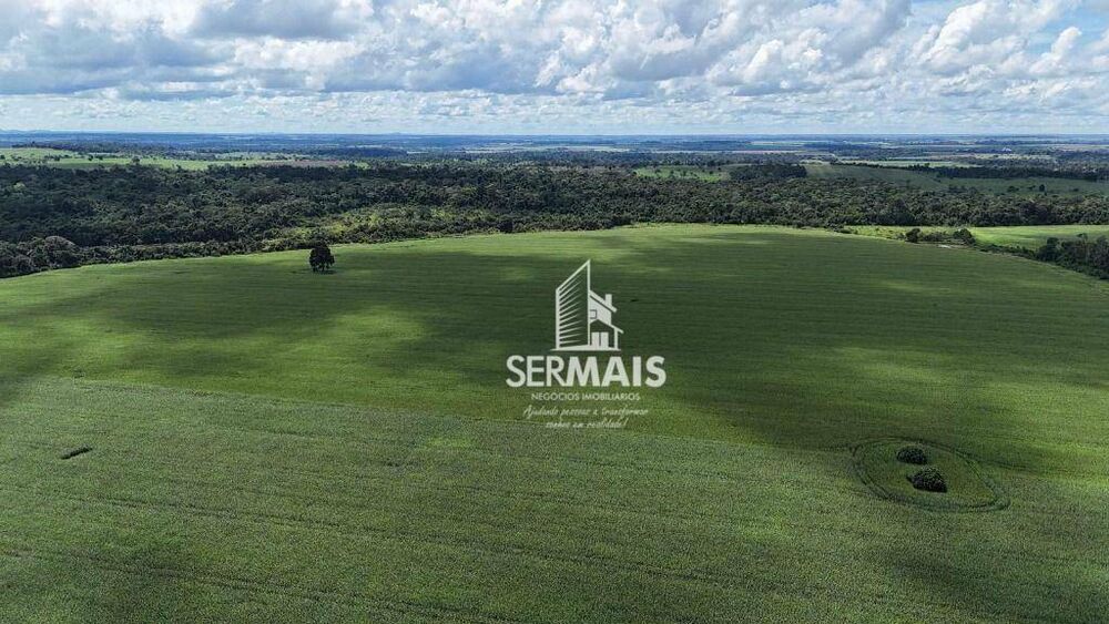 Fazenda, 247 hectares - Foto 7