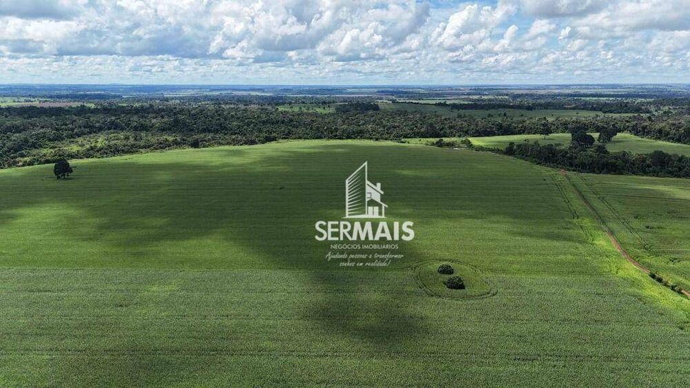 Fazenda, 247 hectares - Foto 8