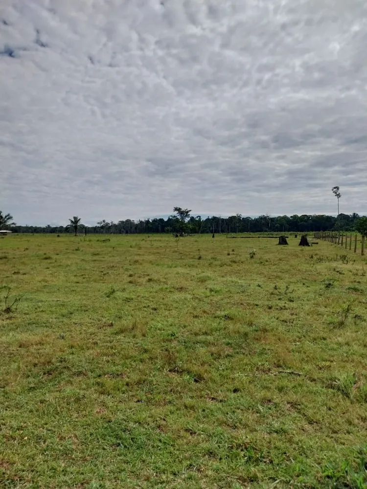 Sítio, 2 quartos, 40 hectares - Foto 6