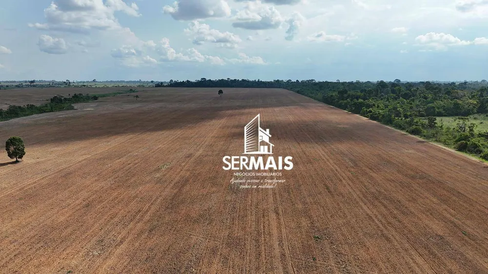 Fazenda, 242 hectares - Foto 6
