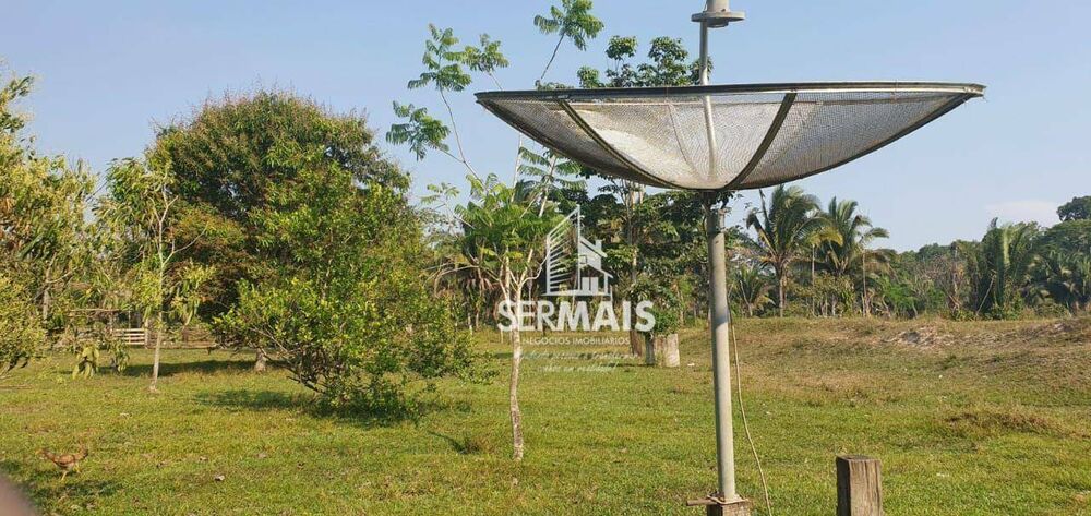 Sítio, 15 hectares - Foto 2