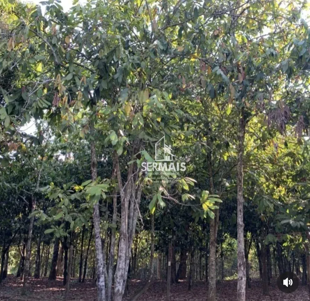Sítio, 155 m² - Foto 6