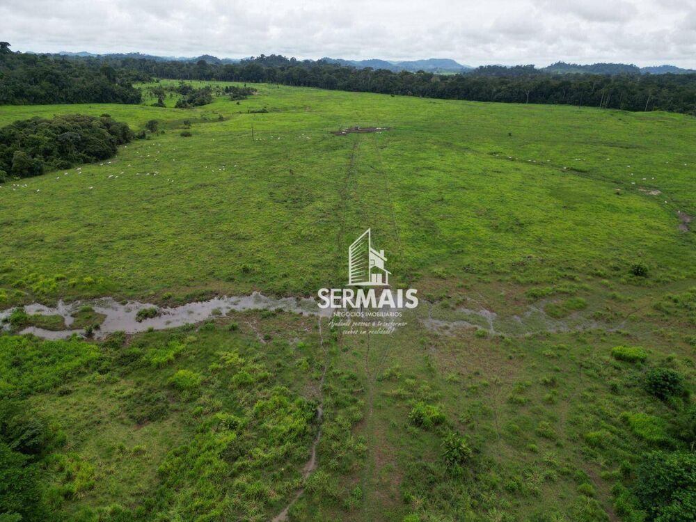 Fazenda, 545 hectares - Foto 3