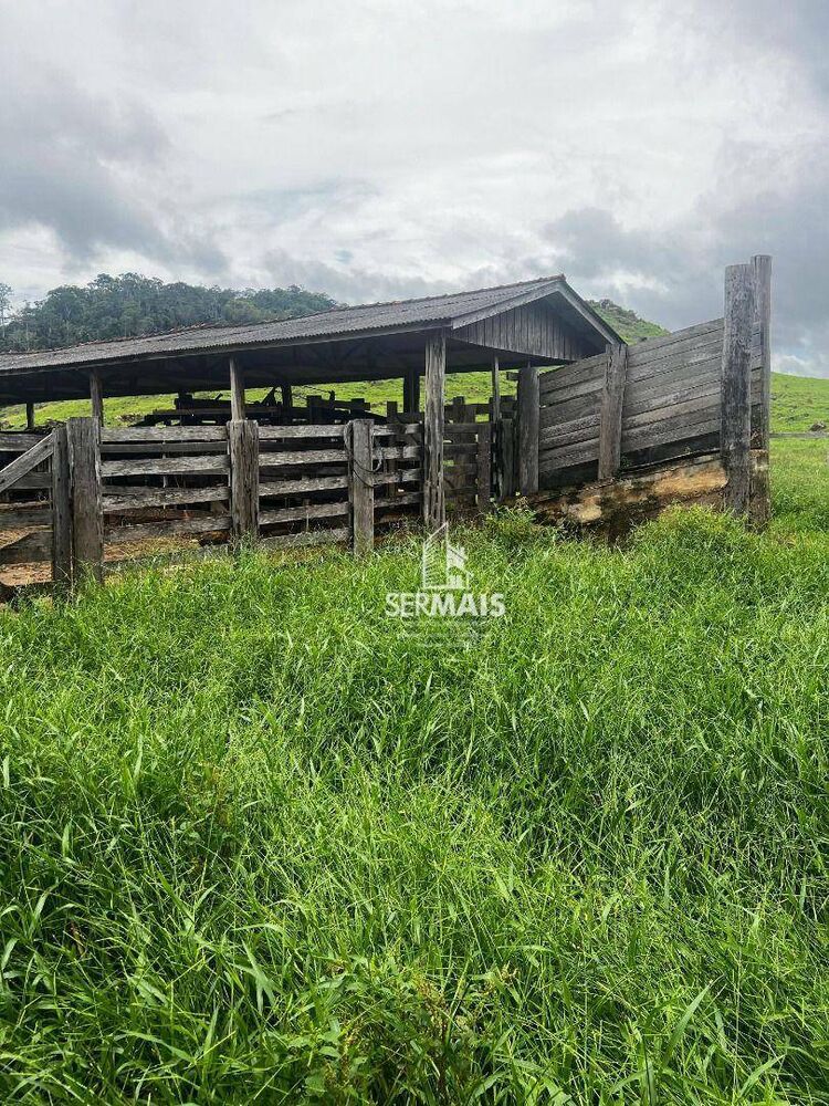 Fazenda, 545 hectares - Foto 4