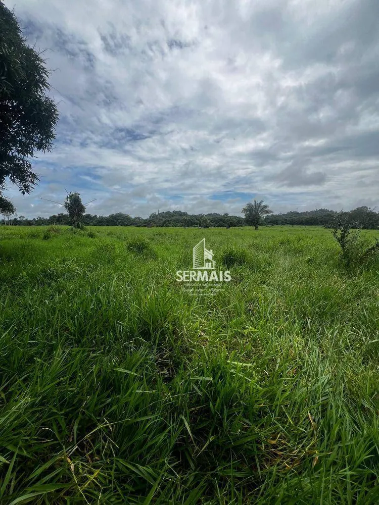 Fazenda, 545 hectares - Foto 5