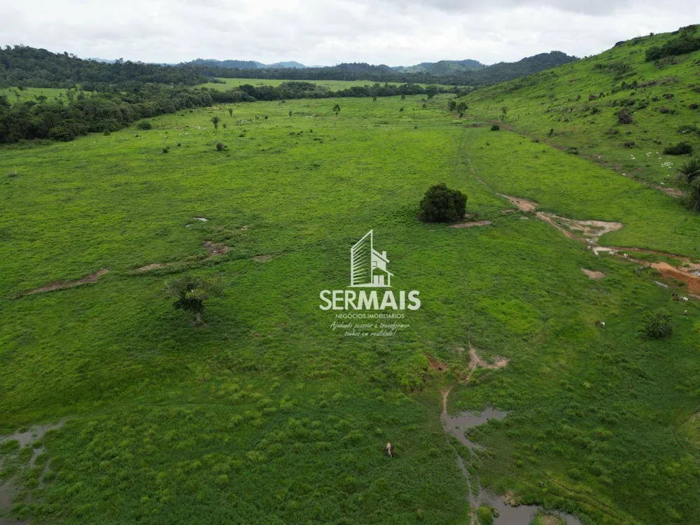 Fazenda, 545 hectares - Foto 8