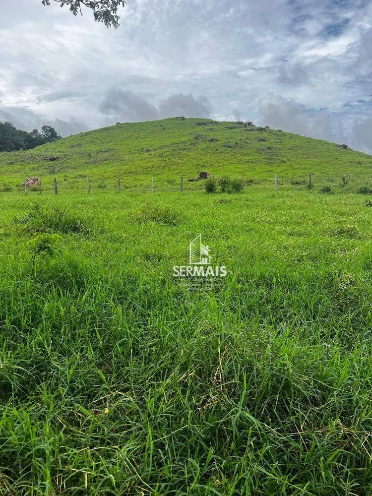 Fazenda, 545 hectares - Foto 11