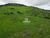 Fazenda, 545 hectares - Foto 3